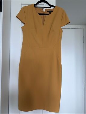 Banana Republic Cap-Sleeve Sheath Dress (6)